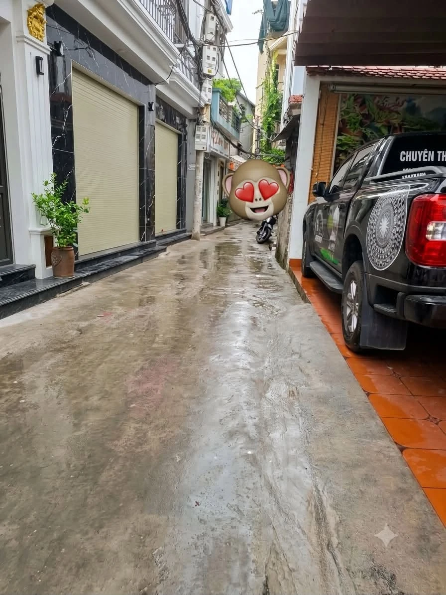 Bán nhà lô góc 4 tầng 40m2 ô tô đỗ cửa đường Phủ Thượng Đoan - Ảnh 1