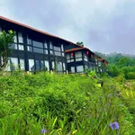 Bán villa nghỉ dưỡng 1000m² Đà Bắc Hòa Bình, hơn 2 tỷ - Ảnh thu nhỏ 4