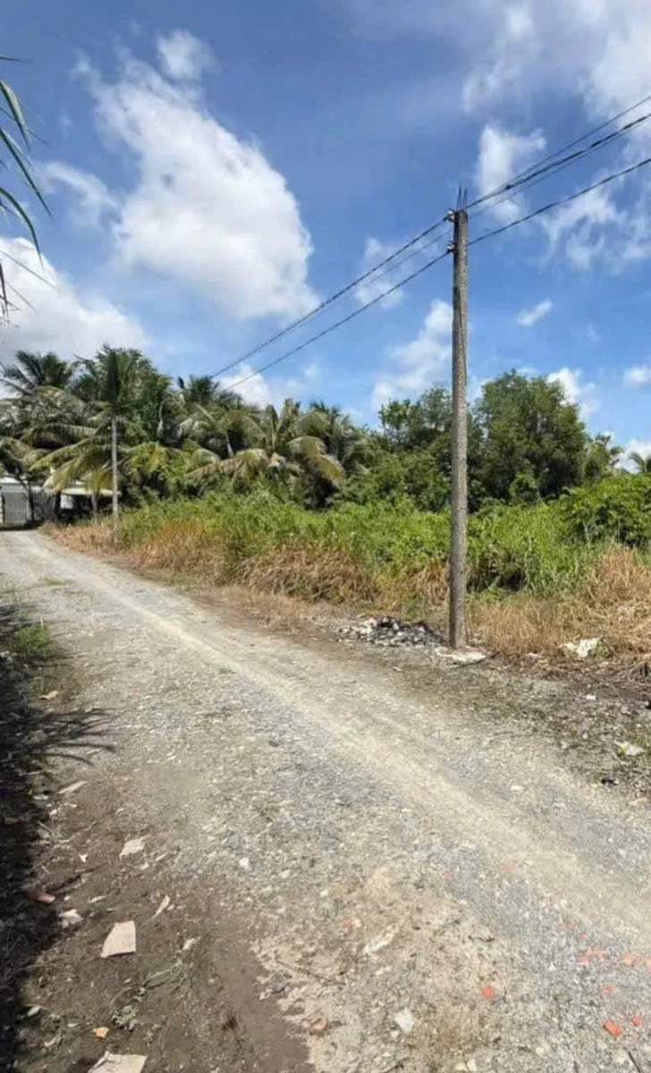 Bán 1.065m2 đất xã Tân Phú, Đức Hòa, Long An giá 4,2 tỷ - Ảnh thu nhỏ 2