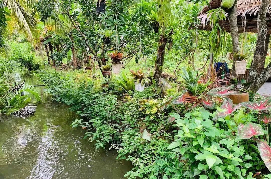 Bán đất nền 1.000m² gần KCN Minh Hưng, giá 300 triệu - Ảnh 1