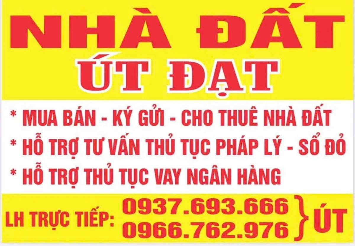 Bán đất mặt tiền Nguyễn Trãi 5,5x19m chỉ 9xx triệu, Bình Chánh - Ảnh thu nhỏ 3