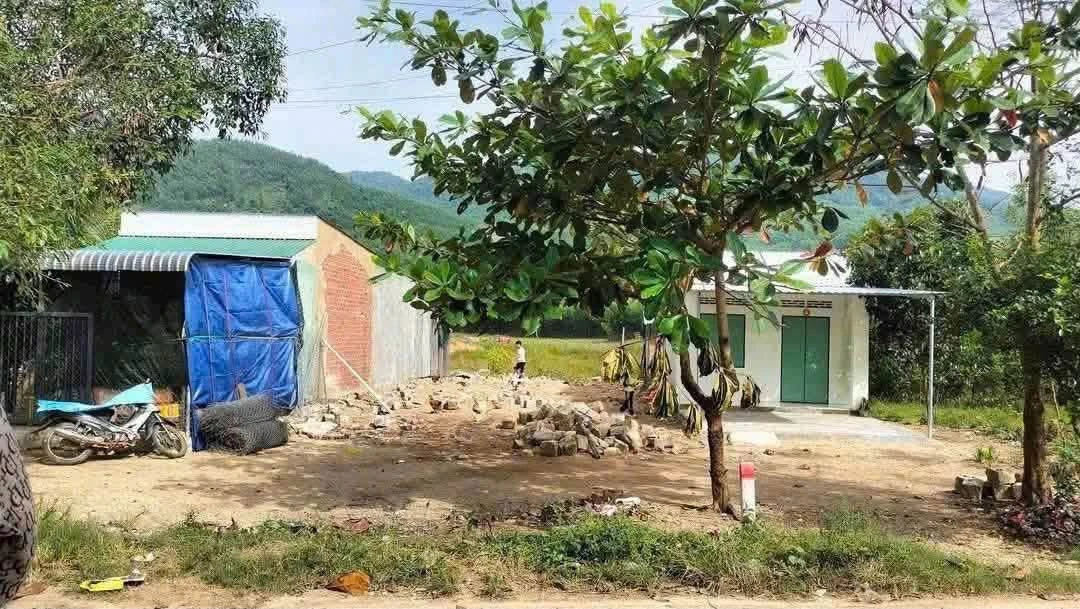 Bán đất Khánh Đông 430m² - Ảnh thu nhỏ 2