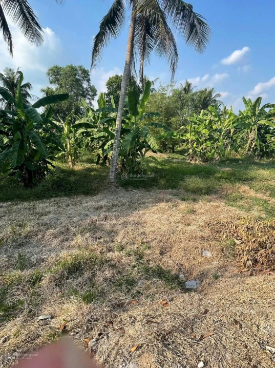 Bán đất tại xã Phú Quới, huyện Long Hồ, Vĩnh Long, giá siêu hời 3,9 tỷ, 1169,2 m2 - Ảnh thu nhỏ 2
