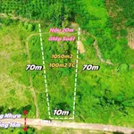 Bán đất 1050m² Di Linh Lâm Đồng 890 triệu - Ảnh thu nhỏ 2