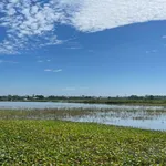 Bán 2 sào ruộng 2.400m² giá trên 200tr/m² Hà Nội - Ảnh thu nhỏ 1