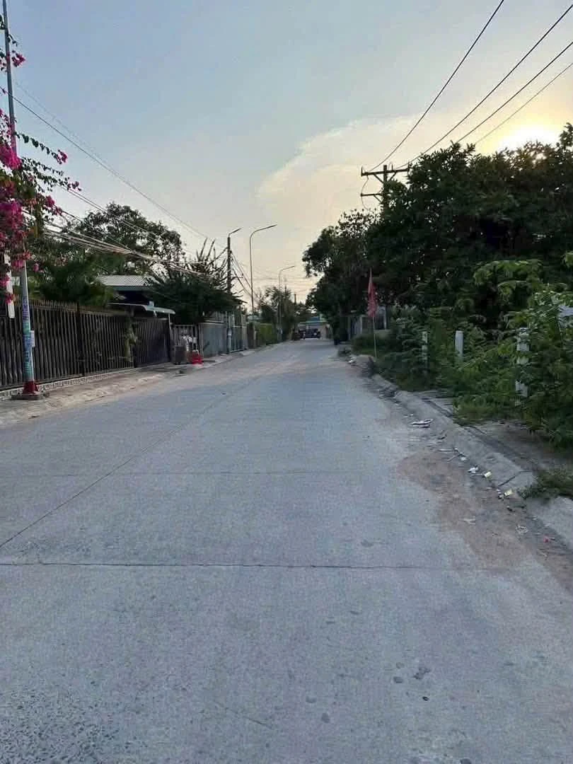 Bán đất nền 855m² mặt tiền 8m Đức Hòa, Long An - Ảnh thu nhỏ 2