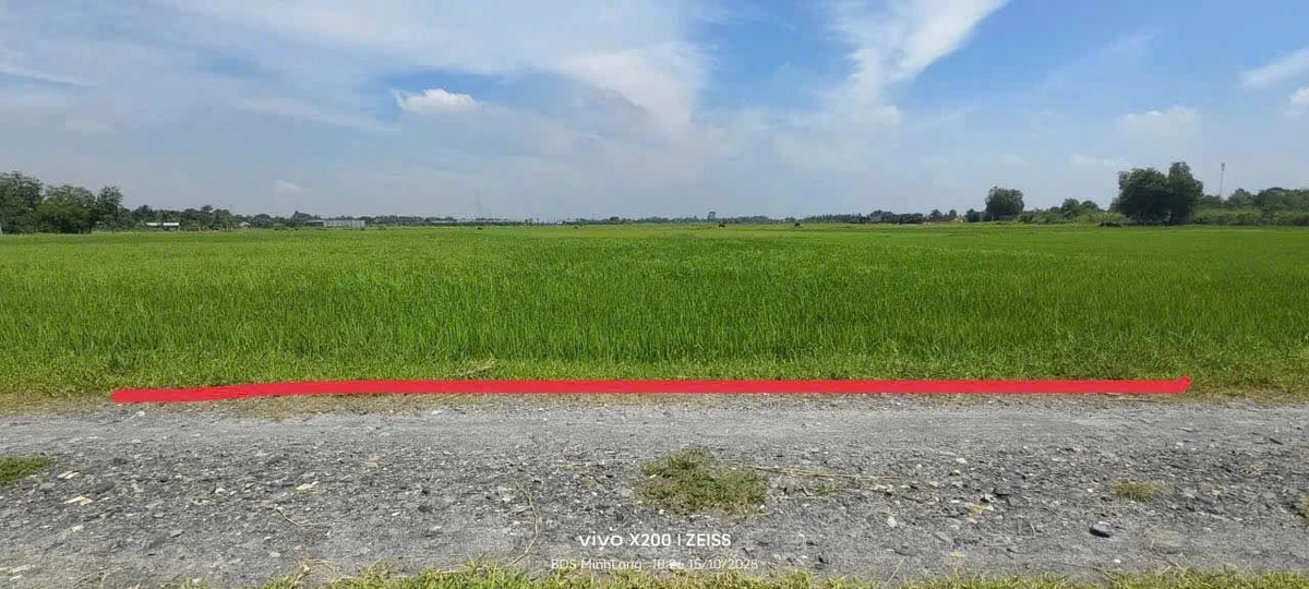Bán đất 27x35m (945m2) gần Vinhomes 197ha, cách trung tâm Hậu Nghĩa 800m, giá 2,2 tỷ - Ảnh thu nhỏ 4