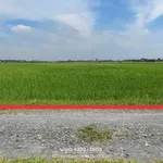Bán đất 27x35m (945m2) gần Vinhomes 197ha, cách trung tâm Hậu Nghĩa 800m, giá 2,2 tỷ - Ảnh thu nhỏ 4