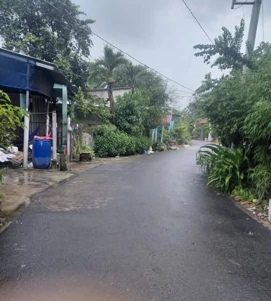 Bán lô đất 10x53m Phú An, Thủ Đức 2,3 tỷ - Ảnh thu nhỏ 4