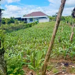 Bán lô đất 600m² thổ cư 100% mặt tiền Phú Vinh - Ảnh thu nhỏ 3