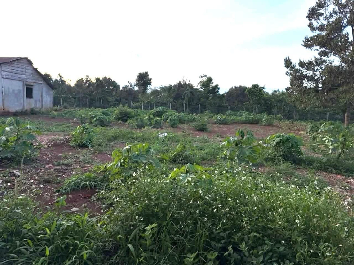 Bán đất Ea Drông, Buôn Hồ, 300 m² - Ảnh thu nhỏ 3
