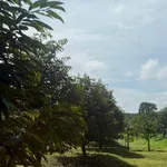 Bán đất 3000m² mặt tiền 60m Lộc Ninh Bình Phước 600 triệu - Ảnh thu nhỏ 1