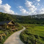 Đất gần trung tâm Măng Đen giá khá tốt ạ - Ảnh thu nhỏ 6