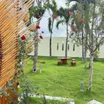 Bán nhà vườn 1.600m² Phan Thiết, 1 tỷ 790 - Ảnh thu nhỏ 3
