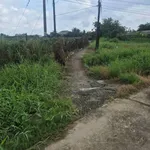Bán 9000m² đất lúa Châu Thành Long An - Ảnh thu nhỏ 3