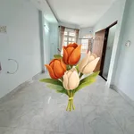 Bán nhà 3 tầng Phan Văn Trị, Gò Vấp, 40m², 4,8 tỷ - Ảnh thu nhỏ 2