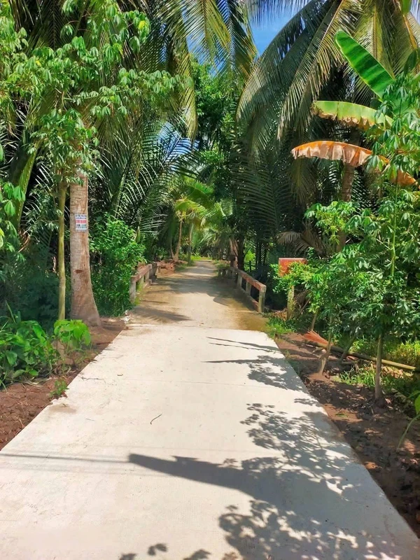 Bán đất vườn dừa 2700m² tại Xã Lương Phú, Bến Tre