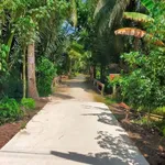 Bán đất vườn dừa 2700m² tại Xã Lương Phú, Bến Tre - Ảnh thu nhỏ 1