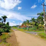 Bán đất 2 mặt tiền 500m² Nam Rạ Đắk Nia 650 triệu - Ảnh thu nhỏ 2