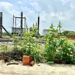 Bán đất nền sổ riêng 105m2 Mỹ Lộc, Tây Ninh (Phước Lâm, Cần Giuộc cũ) giá 780 triệu - Ảnh thu nhỏ 4