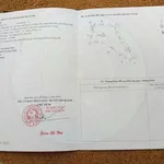 Bán đất 555m2 ven biển An Thành, Quảng Ngãi giá 79 triệu kèm cây keo - Ảnh thu nhỏ 1