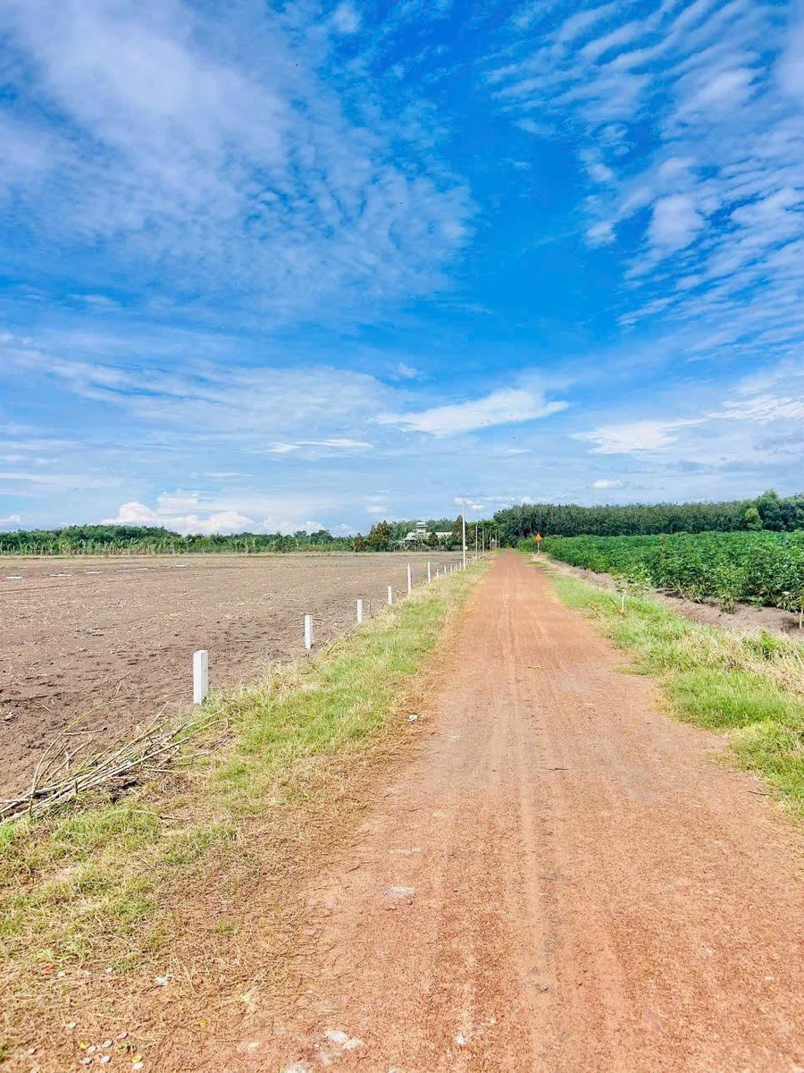Bán đất thổ cư 100m2 Phước Minh Tây Ninh 390 triệu - Ảnh thu nhỏ 3