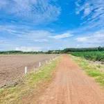 Bán đất thổ cư 100m2 Phước Minh Tây Ninh 390 triệu - Ảnh thu nhỏ 3