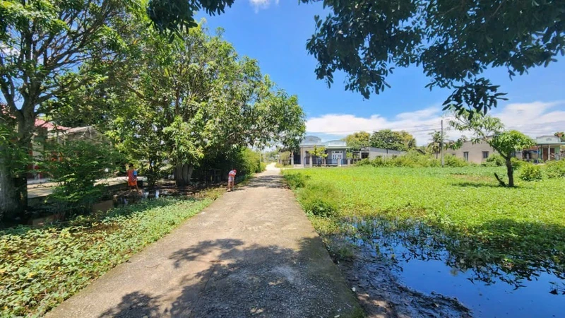 Bán đất 15x33m (499.4m²) làm nhà vườn gần biển Tân Phước, Lagi - 1,5 tỷ