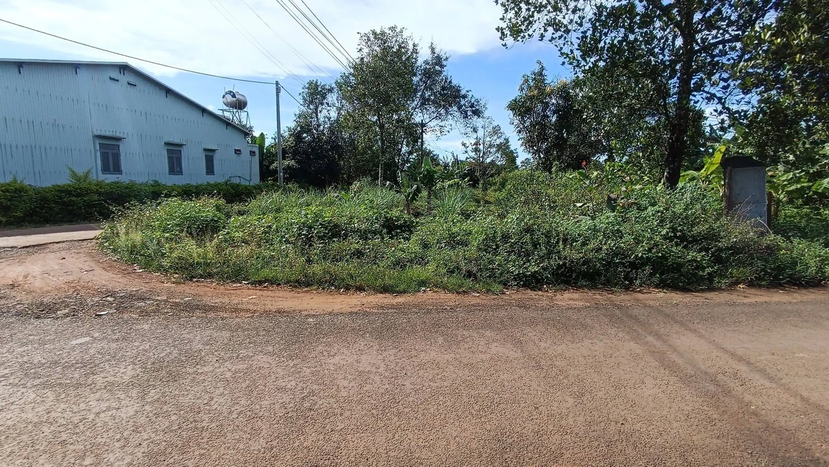 Bán đất góc 2 mặt tiền 182m² Ỷ Lan Biển Hồ, Gia Lai Tây - Ảnh thu nhỏ 2