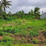 Bán đất Sông Thao Trảng Bom 100m² sổ riêng - Ảnh thu nhỏ 1