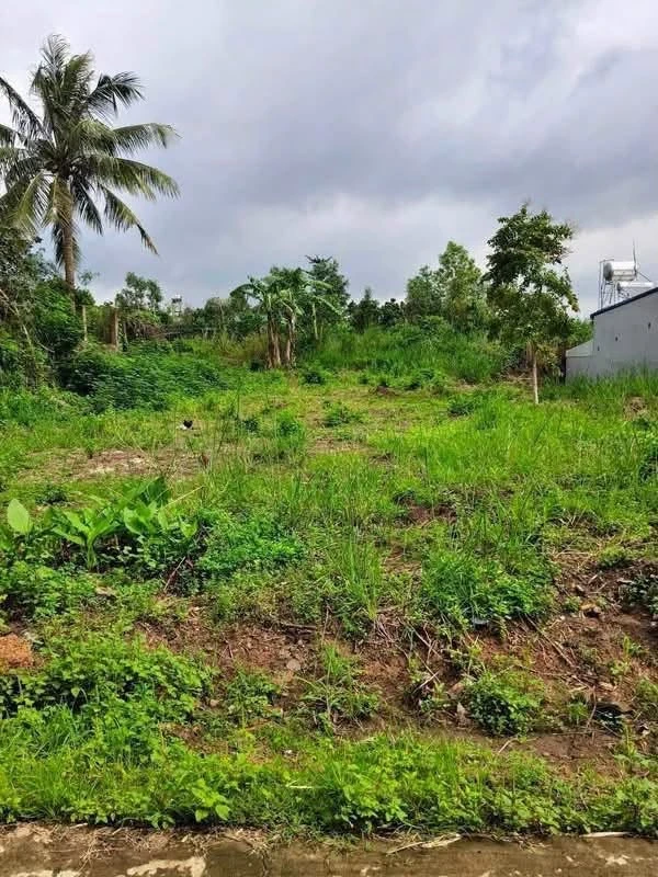 Bán đất Sông Thao Trảng Bom 100m² sổ riêng - Ảnh 1