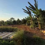Bán đất 243m² Cư Êbur, Buôn Ma Thuột, 2 tỷ 350 triệu - Ảnh thu nhỏ 3