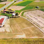 Bán đất full thổ cư 155m² chỉ 290 triệu - Ảnh thu nhỏ 3
