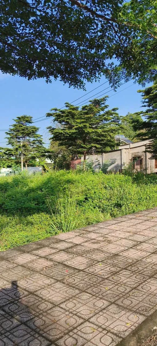 Bán đất mặt tiền Dầu Giây 5x27 = 135m2, 1.1 tỷ - Ảnh thu nhỏ 2