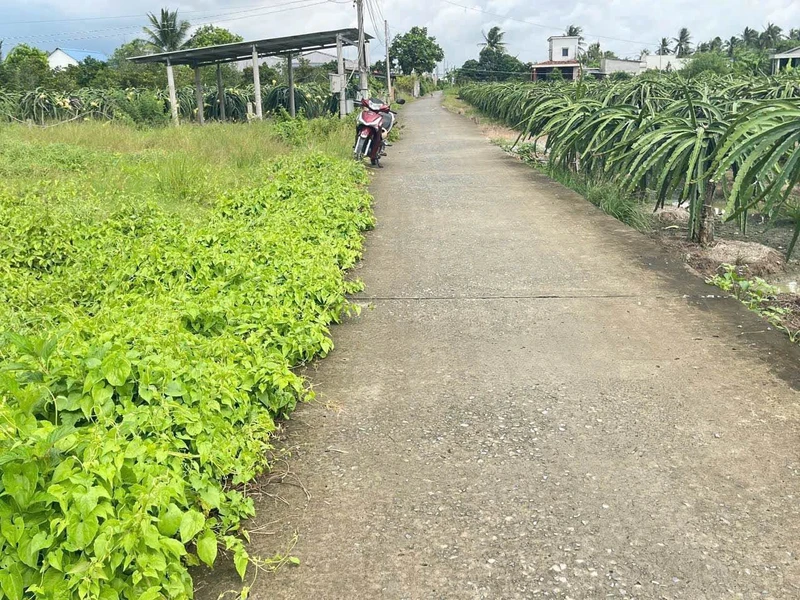 Bán đất 3023 m2 Tây Ninh 450 triệu/1000 m2