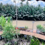Bán 4200m đất vườn với nhà ở tại Thuận Điền, Bến Tre - Ảnh thu nhỏ 4