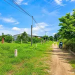 Bán đất thổ cư 6x40m (240m²) 420 triệu Trảng Bàng Tây Ninh - Ảnh thu nhỏ 2