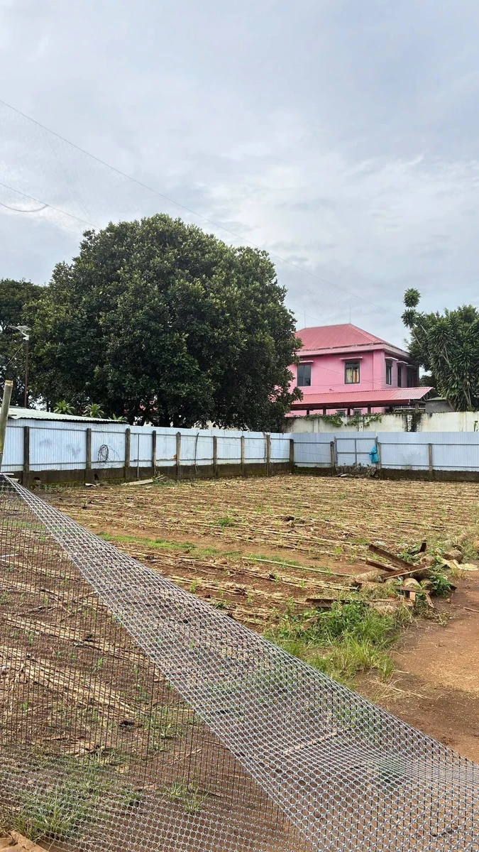 Bán đất 75m² sát Trường Tây Sơn, Lộc An, Bảo Lâm, giá 400 triệu - Ảnh thu nhỏ 2