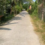 Bán đất vườn 300m² có cây ăn quả xã Tiên Long, Bình Chánh - Ảnh thu nhỏ 1