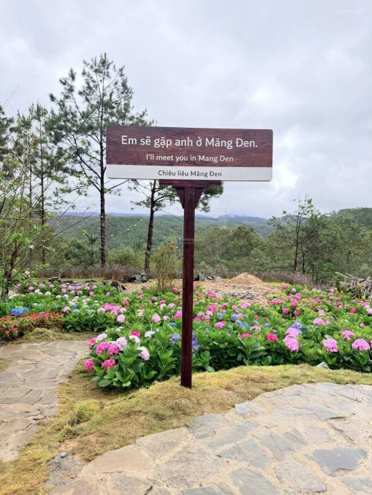 Siêu phẩm đẹp trên đồi đẹp, view rừng thông, xung quanh toàn khách sạn - Ảnh thu nhỏ 5