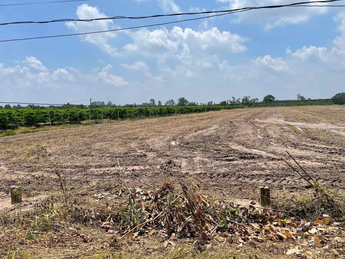 Bán đất nền 5x100m Phường Bình Minh 285 triệu - Ảnh thu nhỏ 3