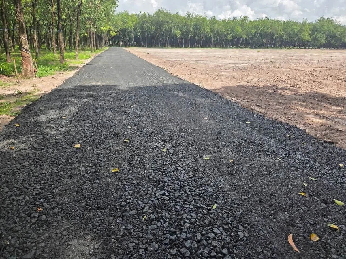 Bán đất Tây Ninh 500m², giá 155 triệu - Ảnh 1