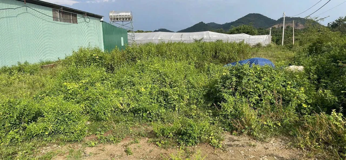 Bán lô góc 2 mặt tiền 457m² sát T'robŭh, Đắk Lắk - Ảnh 1