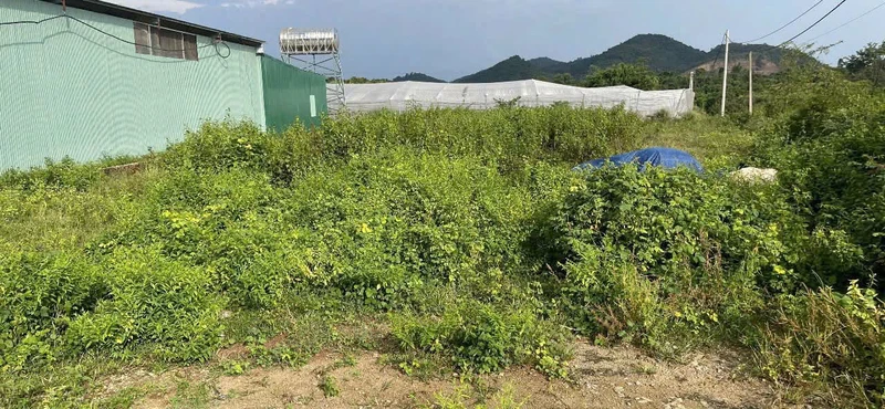 Bán lô góc 2 mặt tiền 457m² sát T'robŭh, Đắk Lắk