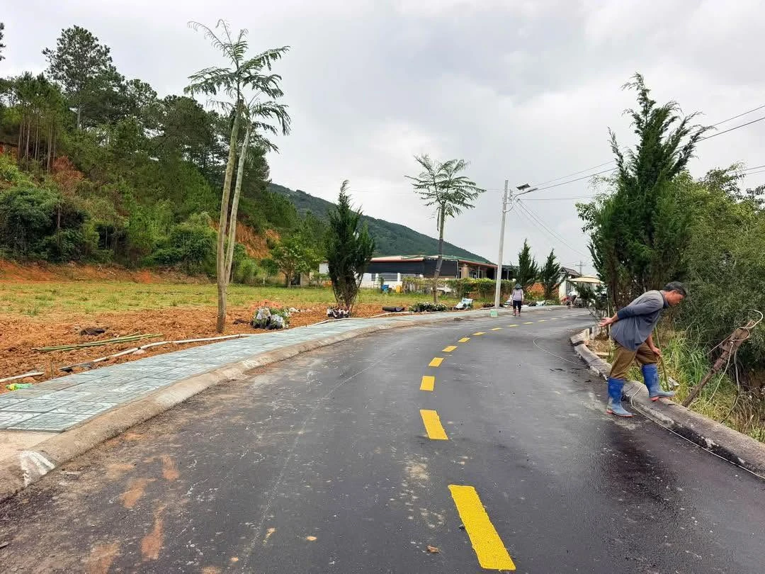Bán đất nền 100m2 Định An Lâm Đồng 1 tỷ 330 triệu - Ảnh 1