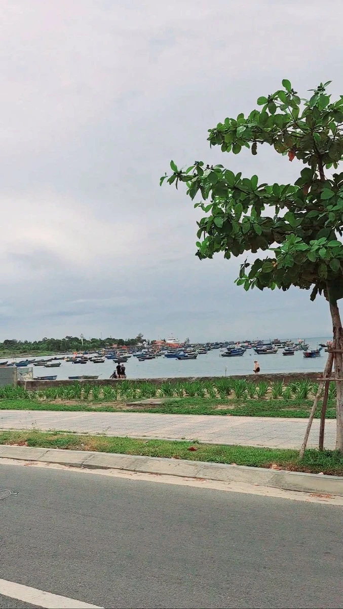 Bán lô đất mặt tiền 90m2 Sơn Trà Đà Nẵng 7 tỷ - Ảnh 1