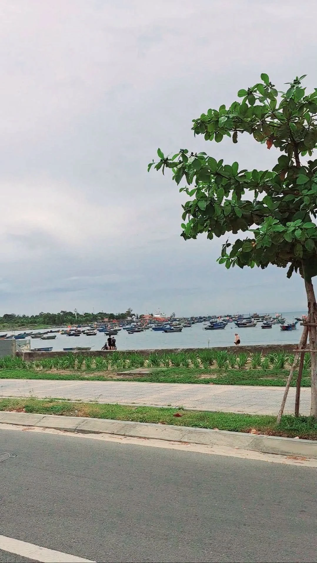 Bán lô đất mặt tiền 90m2 Sơn Trà Đà Nẵng 7 tỷ - Ảnh 1
