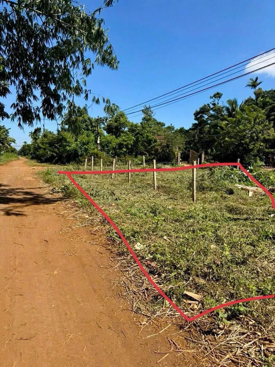 Bán đất nền Tara 120m² gần sân bay Buôn Mê Thuột 479 triệu - Ảnh thu nhỏ 2