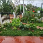 Bán nhà vườn lô góc 2 mặt tiền 151m² Phú Yên 1 tỷ 750 - Ảnh thu nhỏ 4