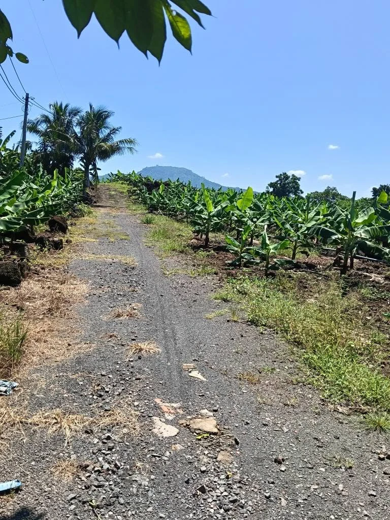 Bán đất Bàu Hàm 5870m² sổ riêng - Ảnh thu nhỏ 5